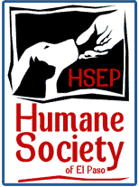 El Paso summer camps